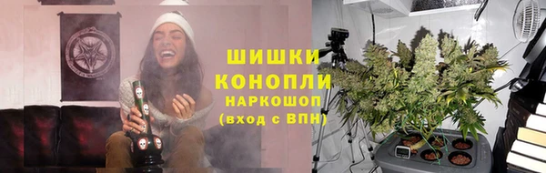 МДПВ Козловка