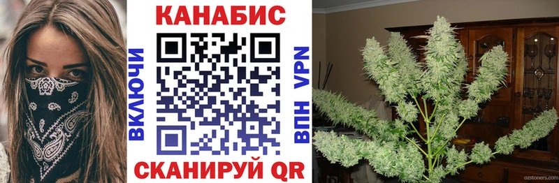 Бошки Шишки Amnesia  Медвежьегорск 